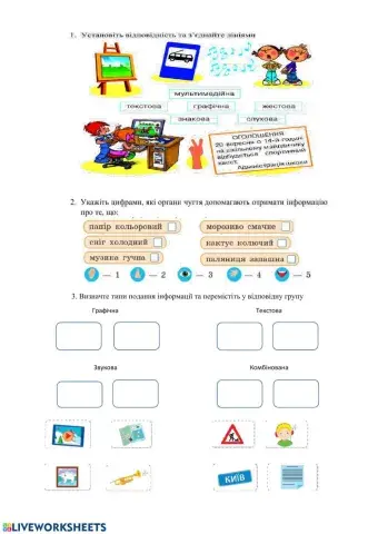 Органи чуття