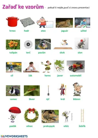 Vzory rodu mužského