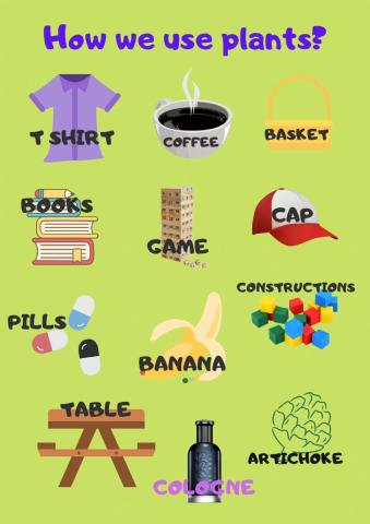 HOW WE USE PLANTS