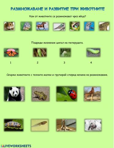 Размножаване при животните