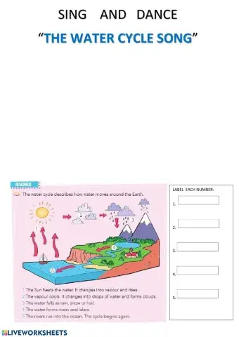 The water cycle song