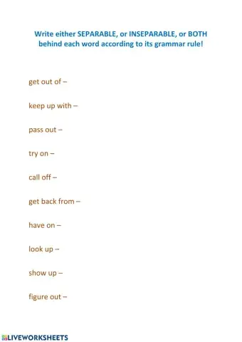 Separable and Inseparable Phrasal Verbs