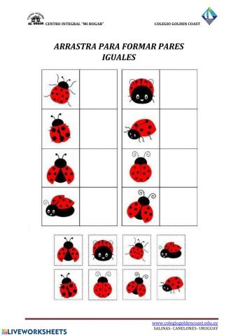 ARRASTRA PARA FORMAR PARES IGUALES