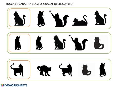 sombras de gatos