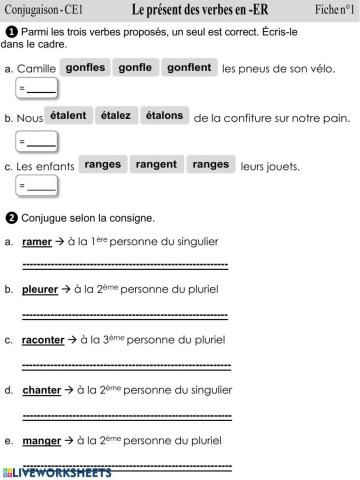 Organisatie  AVEC