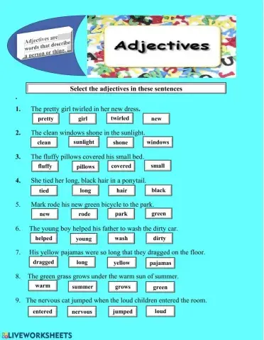 Adjectives