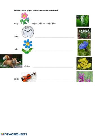 Pavasara darbi dārzā. Puķes