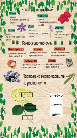 Растения и животни - 1.клас