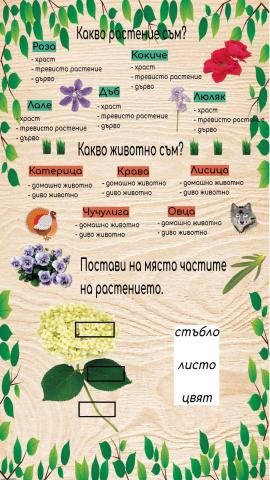 Растения и животни - 1.клас