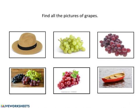 Select all the grapes.