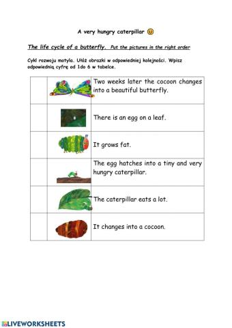 The very hungry caterpillar life cycle of a butterfly