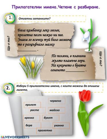 Четене с разбиране Прилагателни имена
