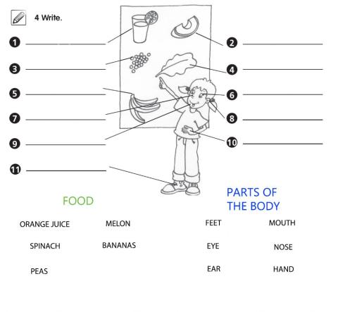 Parts of the body + food