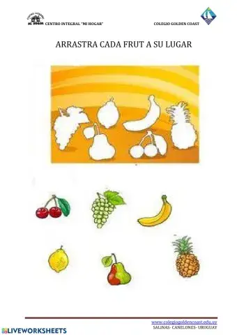 ARRASTRA CADA FRUTA A SU LUGAR