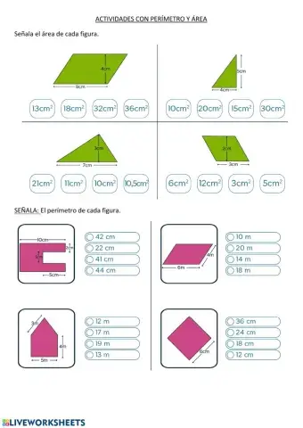Actividades con perímtero y área