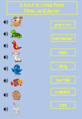 Pets listen and match