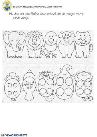 Discriminación visual