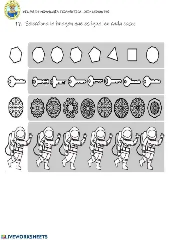 Discriminación visual