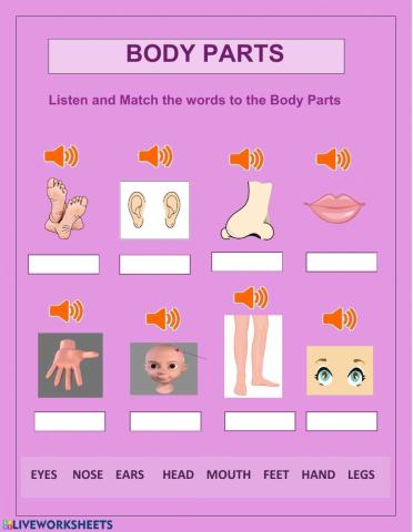 Body Parts -Listen and fill in answers