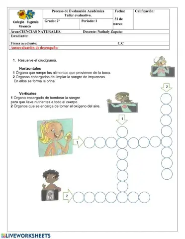 Taller evaluativo C. Naturales