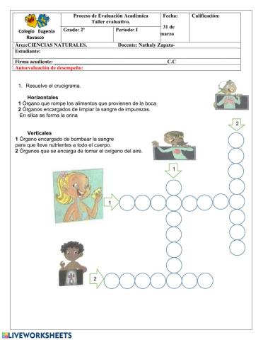 Taller evaluativo C. Naturales