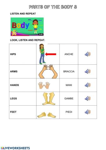 Parts of the body 3