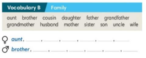 Wider World 1 ex.3 p.11