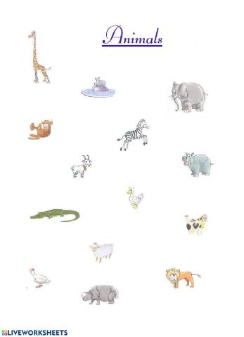 Animals