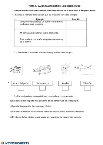 Organización de los seres vivos
