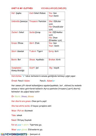 4.8 clothes konu anlatımı