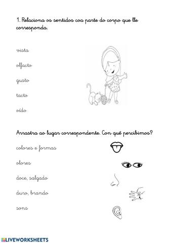 NATURAIS. OS CINCO SENTIDOS