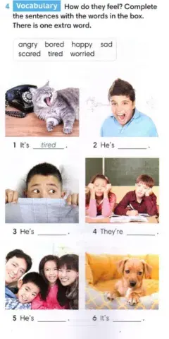 Go getter 2 unit 3.3 emotions