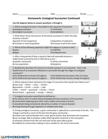 ES: Eco Succession Part 2
