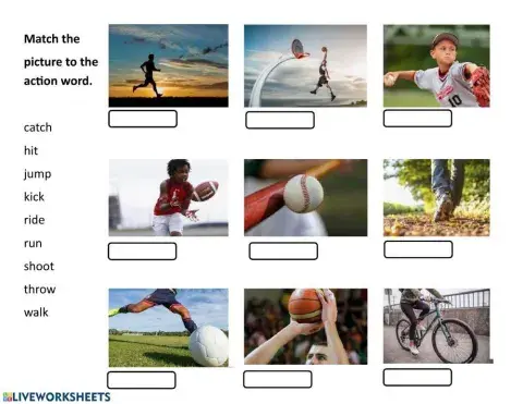 Sport Action Words Match Up