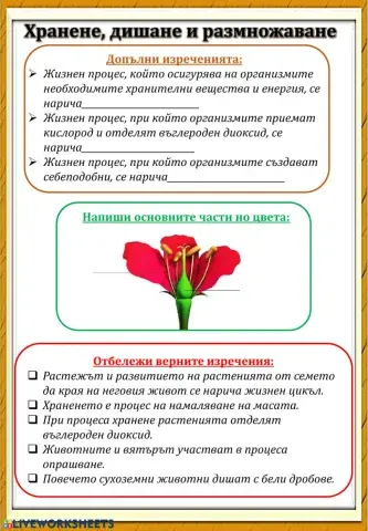 Жизнени процеси