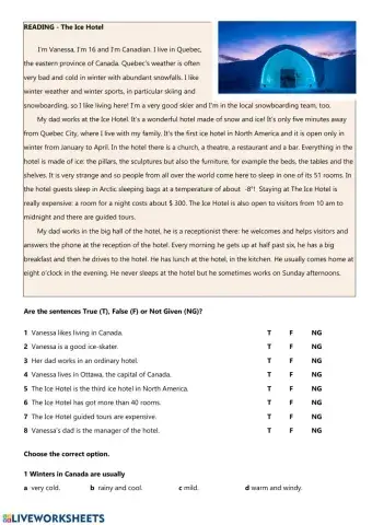 Reading - The Ice Hotel