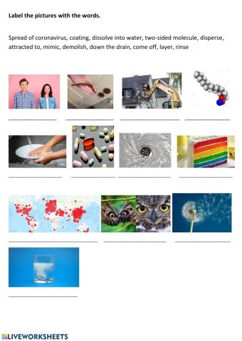 COVID-19 (pre-teaching vocab)