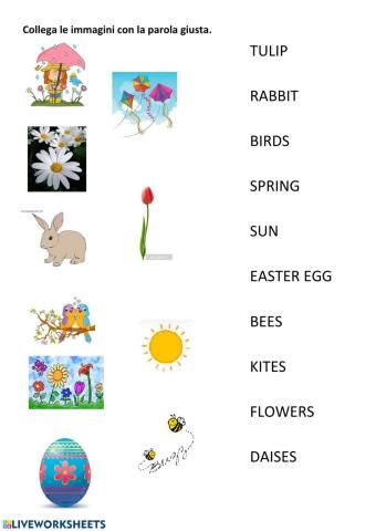 Spring vocabulary