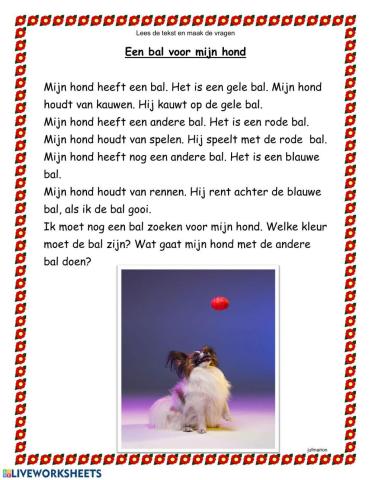 Een bal voor mijn hond