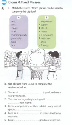 Unit 9 Student's Book ex 6