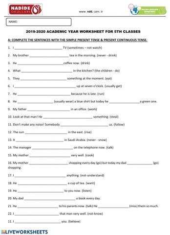 SIMPLE PRESENT TENSE vs. PRESENT CONTINUOUS TENSE
