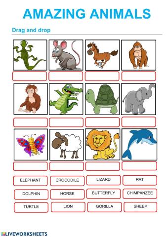 ANIMALS: COMPARATIVES AND SUPERLATIVES