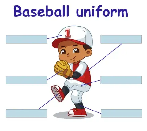 Parts of the baseball uniform