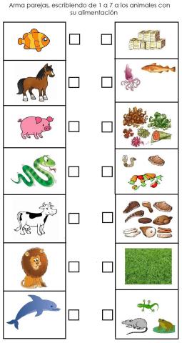 TIPO DE COMIDA DE LOS ANIMALES