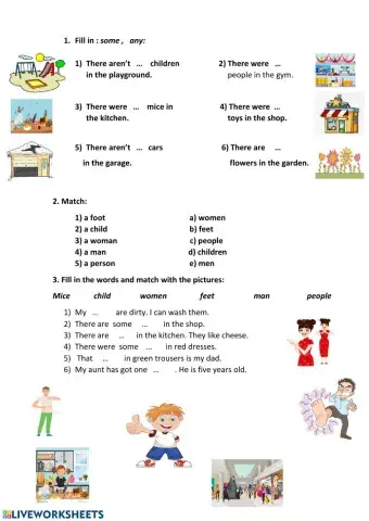 Some,any. Irregular nouns