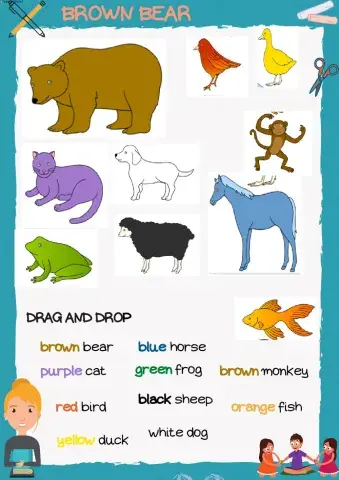 Brown bear.drag and drop