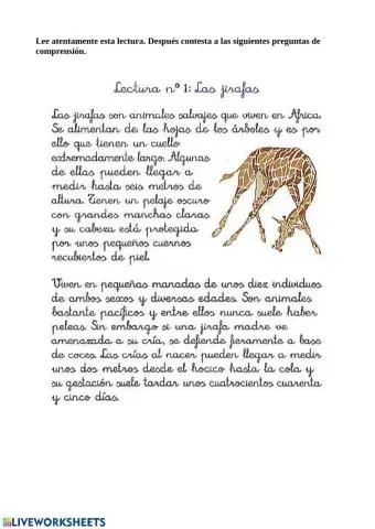 Comprensión lectora