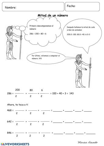 Mitad de un número