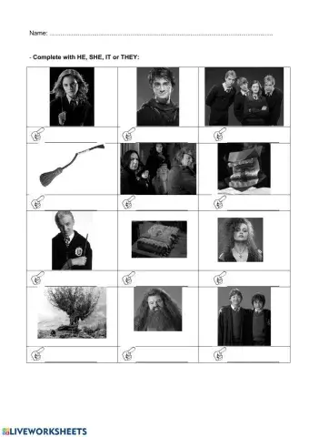 Subject pronouns  HE SHE IT THEY