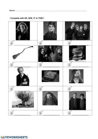 Subject pronouns  HE SHE IT THEY